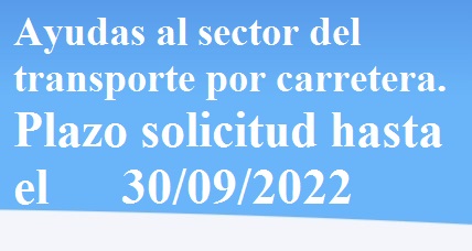 Ayuda al sector del transporte por carretera: transporte por taxi, de pasajeros, de mercancías, servicios de mudanza, sanitario de personas y transporte terrestre urbano y suburbano de pasajeros.